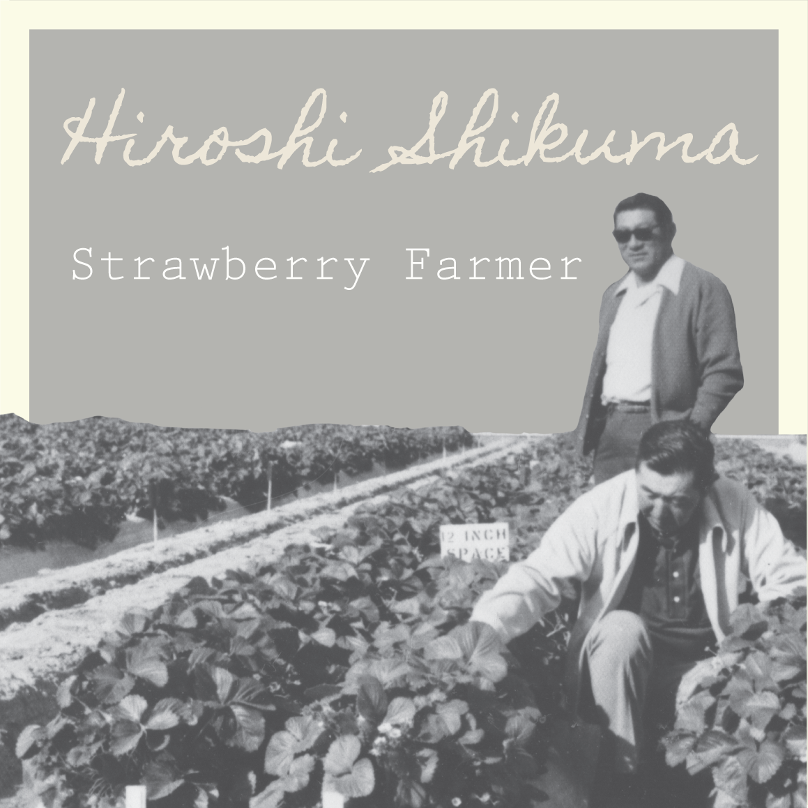 Hiroshi Shikuma: Strawberry Farmer